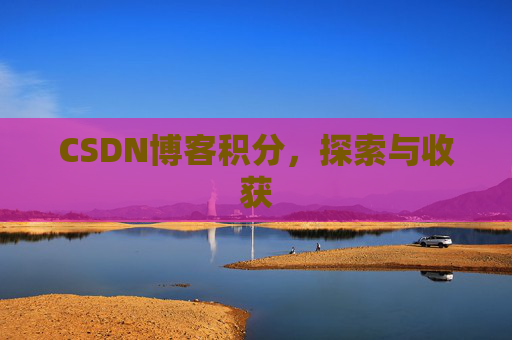 CSDN博客积分，探索与收获